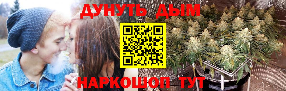 Каннабис гибрид Заринск
